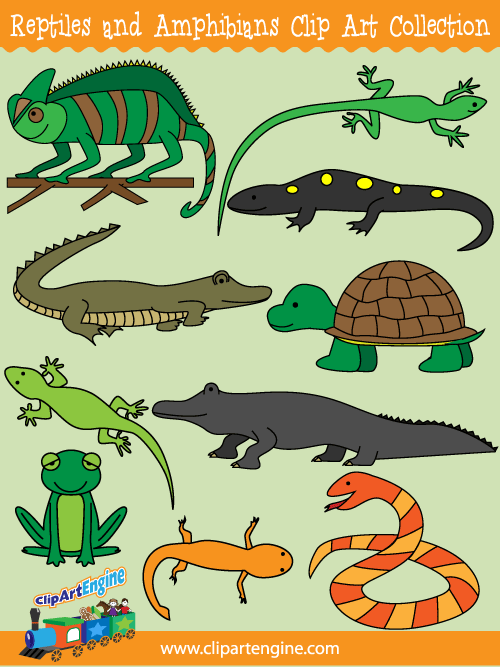 reptiles clipart Clip Art Library