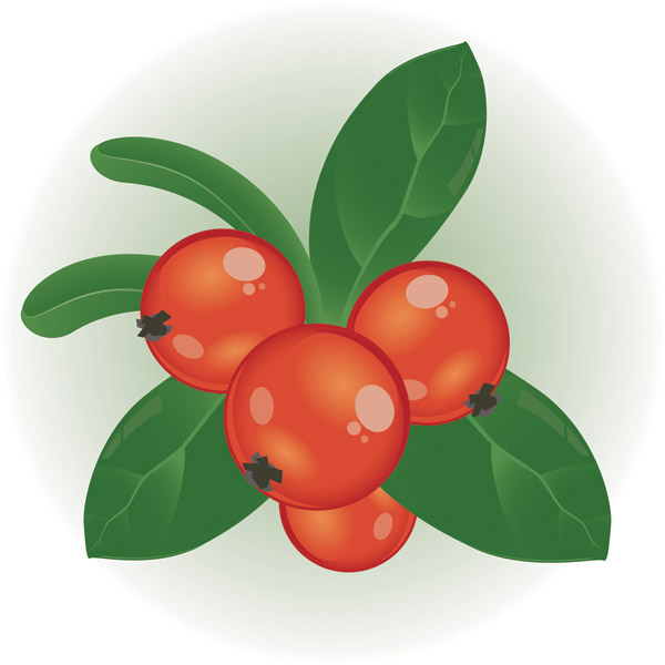 Berries Clipart Free Vector Images and Illustrations