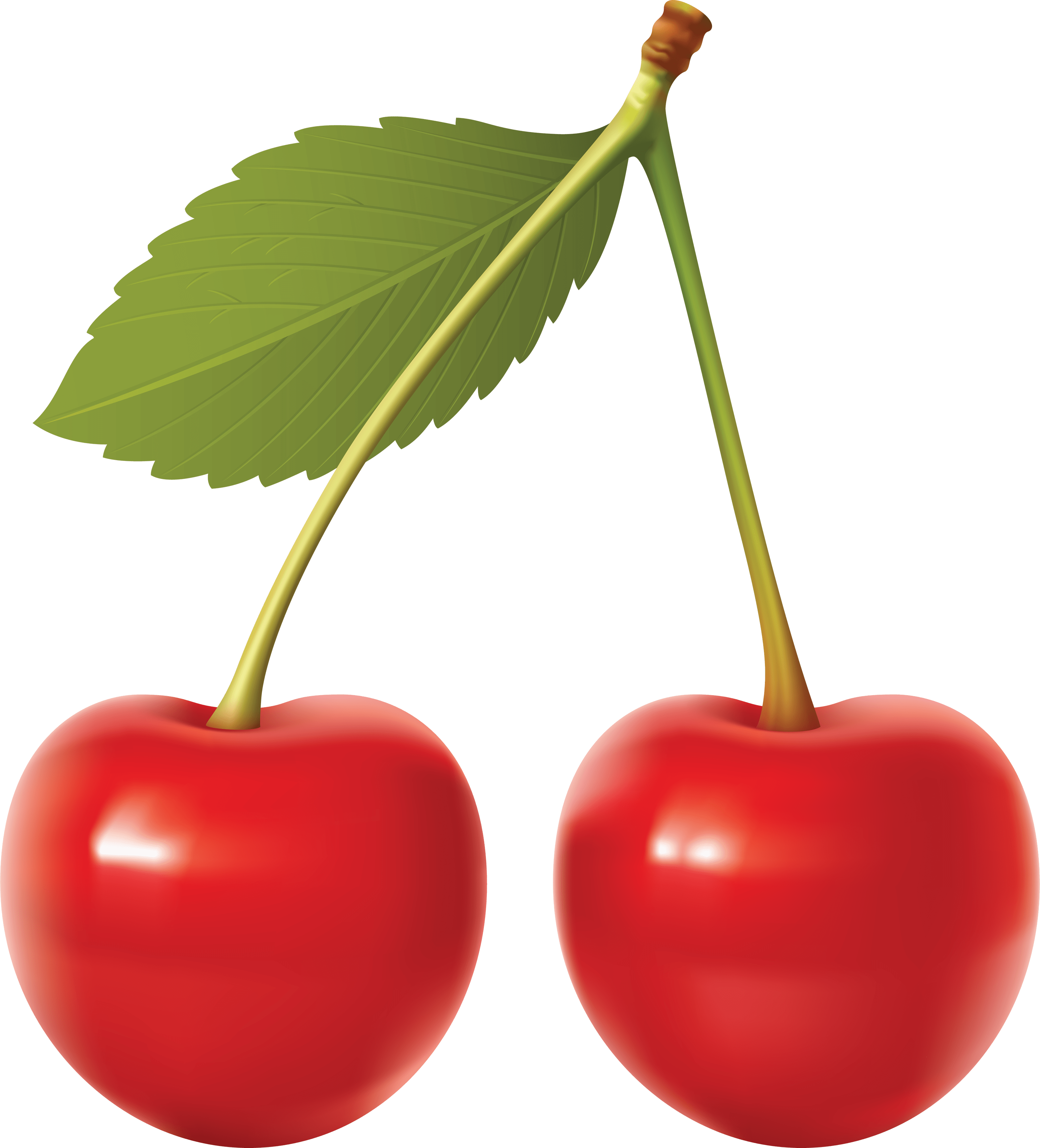 Free Cherries Cliparts, Download Free Cherries Cliparts png images