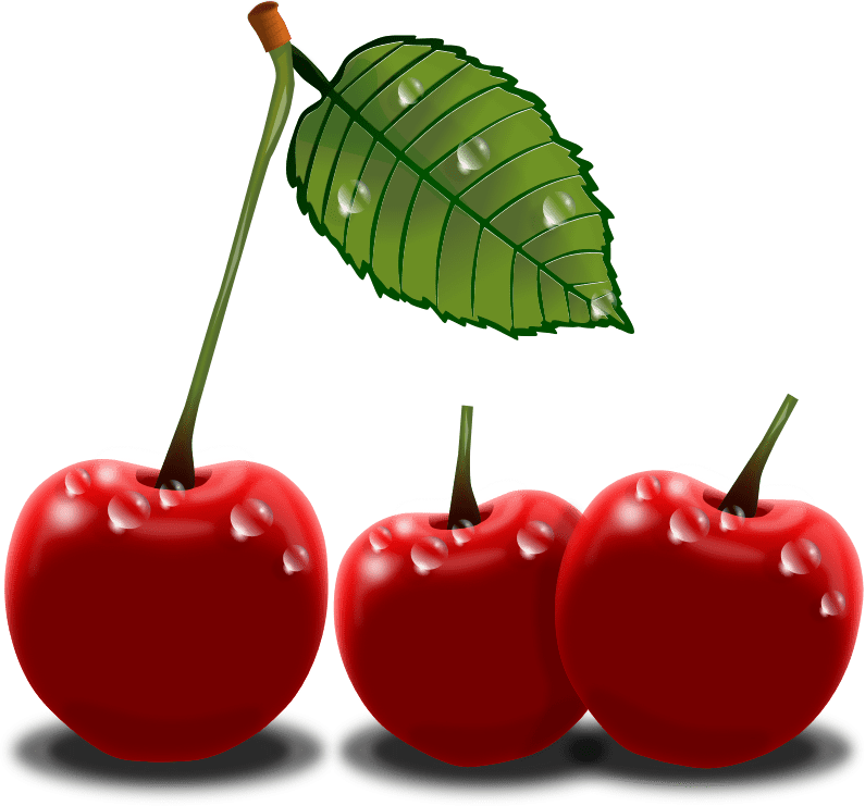 Free Cherries Cliparts, Download Free Cherries Cliparts png images, Free ClipArts on Clipart Library