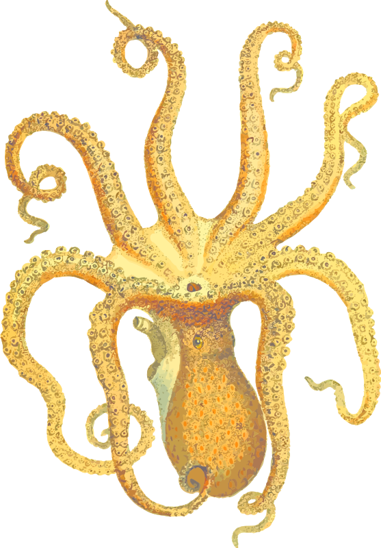 Free Octo Cliparts, Download Free Octo Cliparts png images, Free