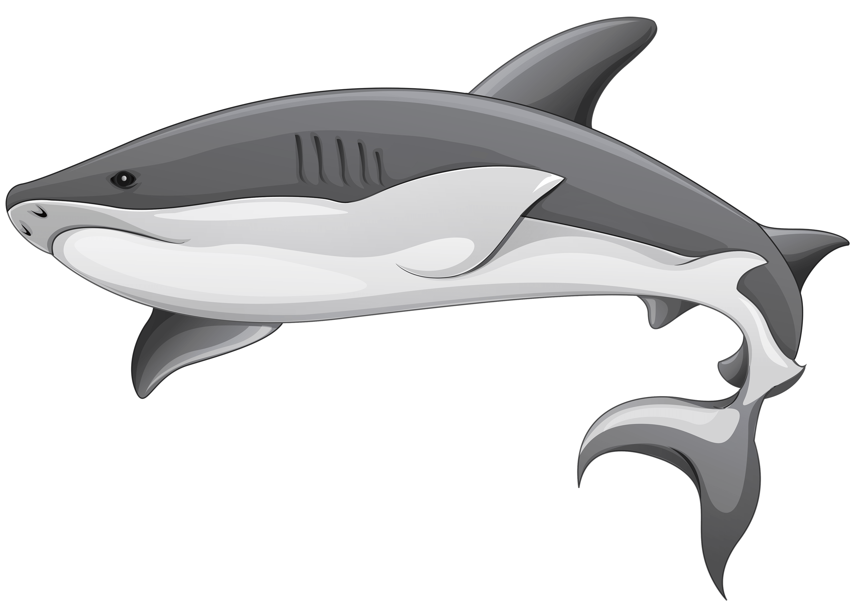 Free Sharks Cliparts, Download Free Sharks Cliparts png images, Free