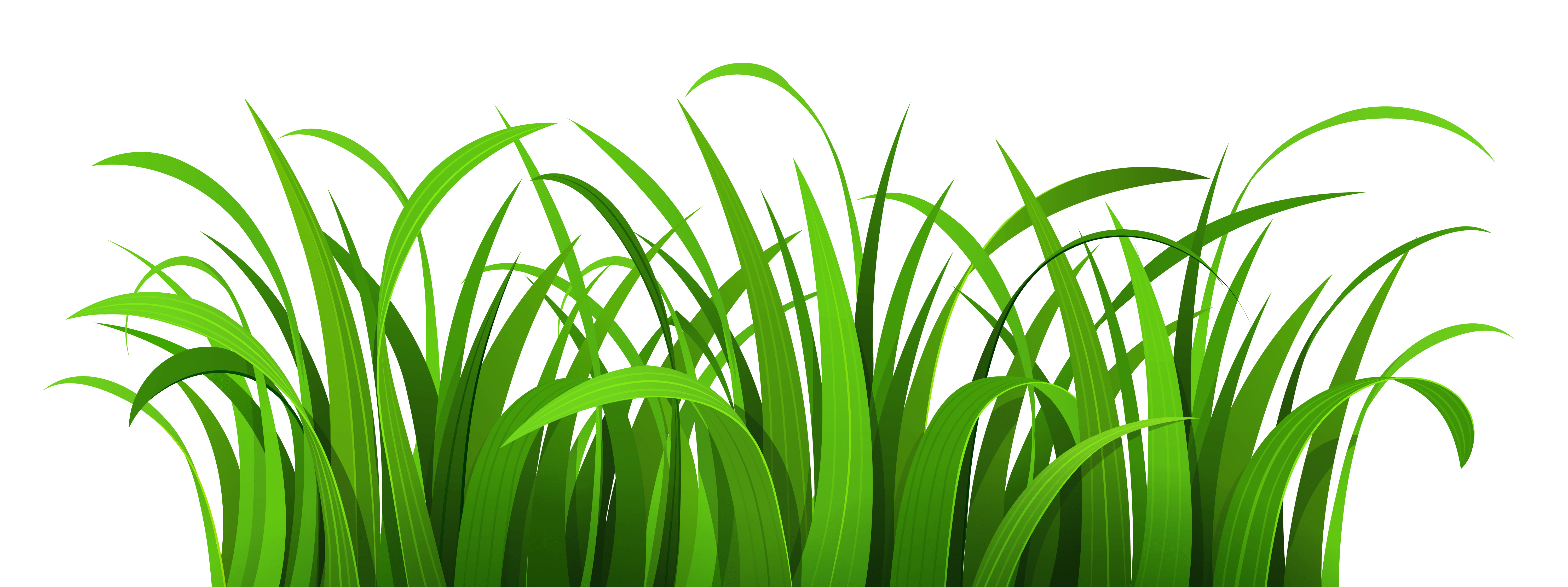 Free Grass Clip Art Png, Download Free Grass Clip Art Png png images
