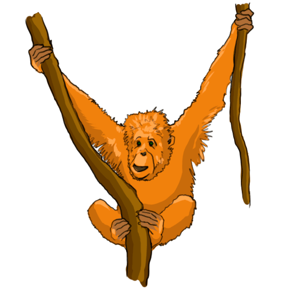 Free Orangutan Cliparts, Download Free Orangutan Cliparts png images