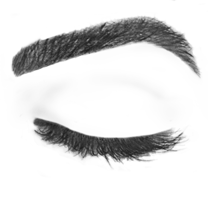 Free Eyebrows Cliparts, Download Free Eyebrows Cliparts png images