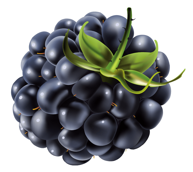 Free Blackberry Cliparts, Download Free Blackberry Cliparts png images
