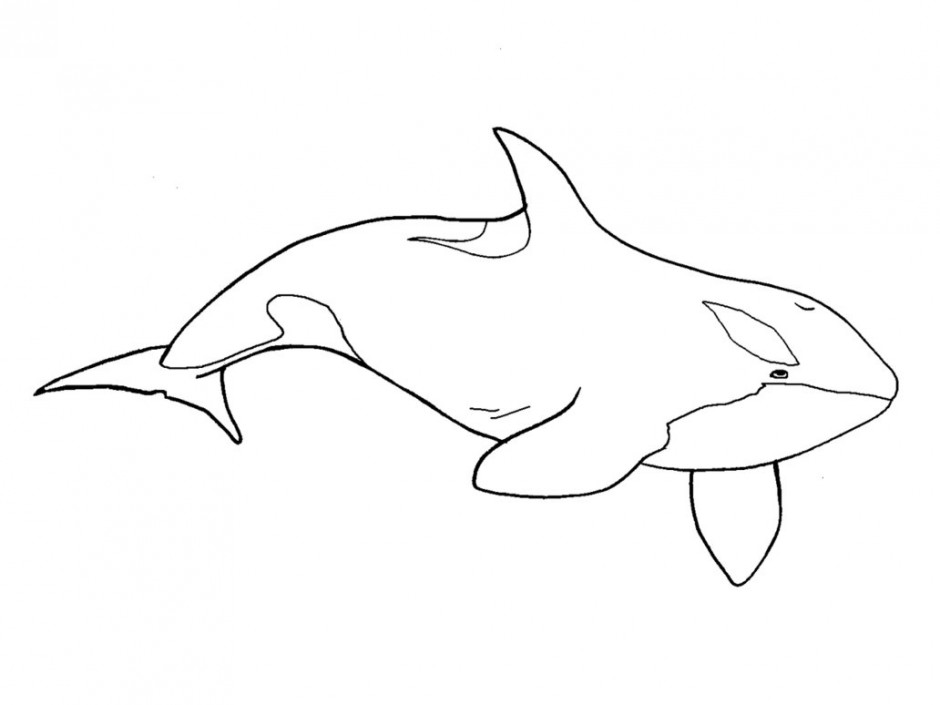 Free Orca Clipart Black And White, Download Free Orca Clipart Black And