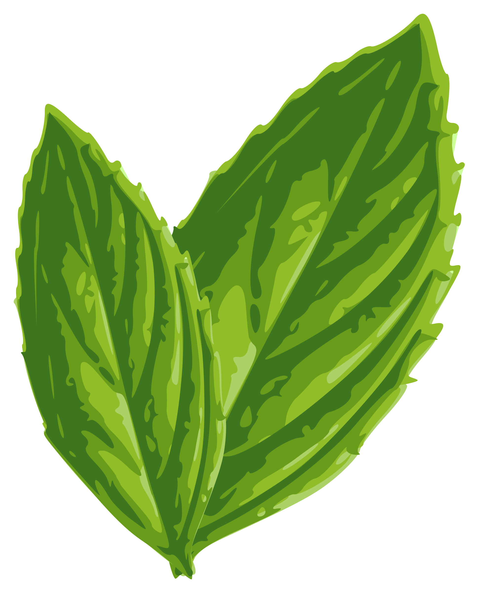 Free Mint Cliparts, Download Free Mint Cliparts png images, Free