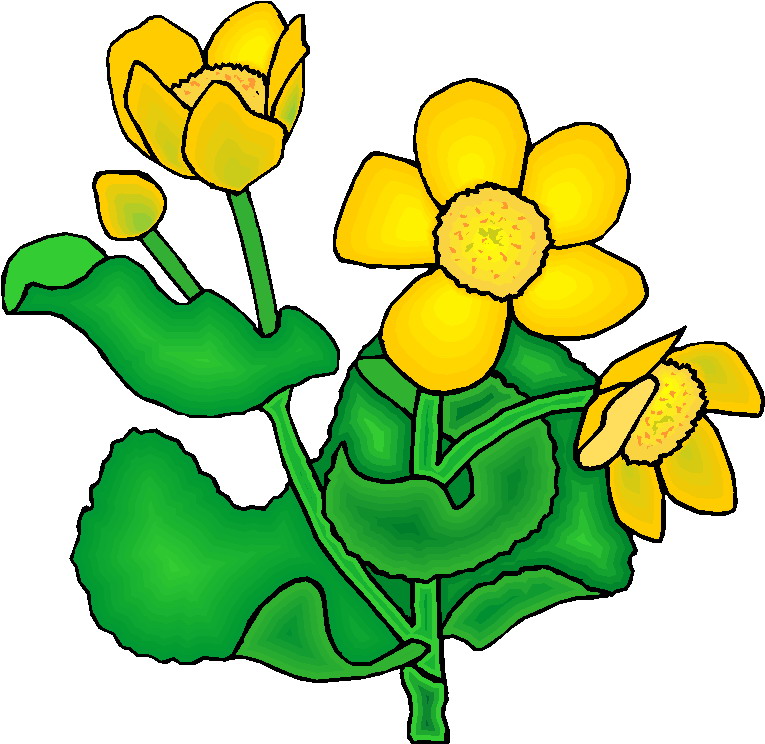 Free Plants Cliparts, Download Free Plants Cliparts png images, Free