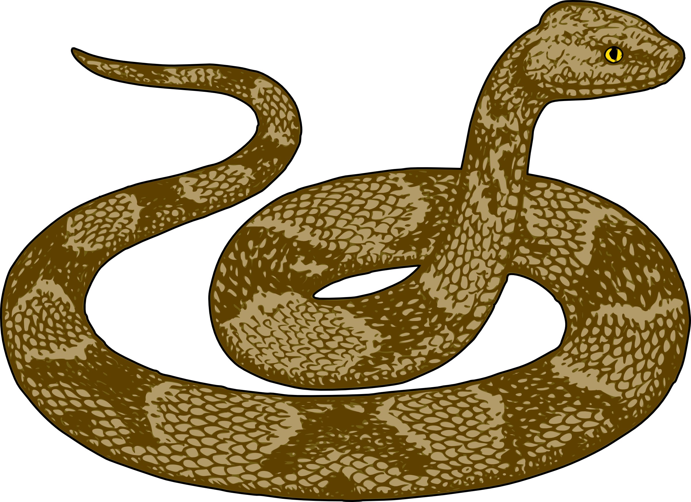Free Snakes Cliparts, Download Free Snakes Cliparts png images, Free
