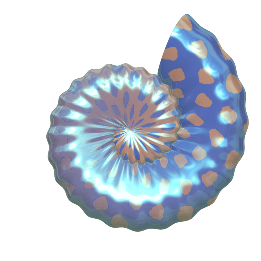Free Seashells Cliparts, Download Free Seashells Cliparts png images