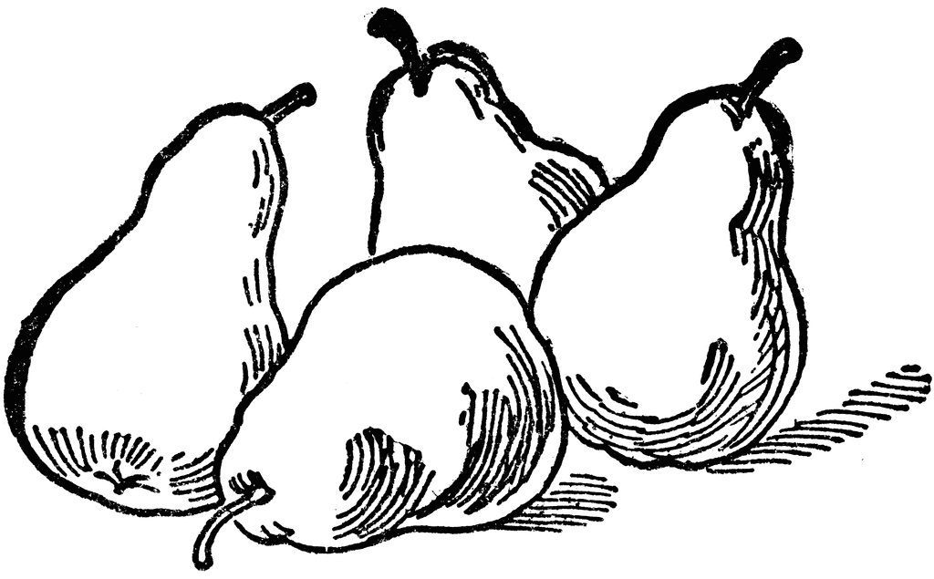 Free Pears Cliparts, Download Free Pears Cliparts png images, Free
