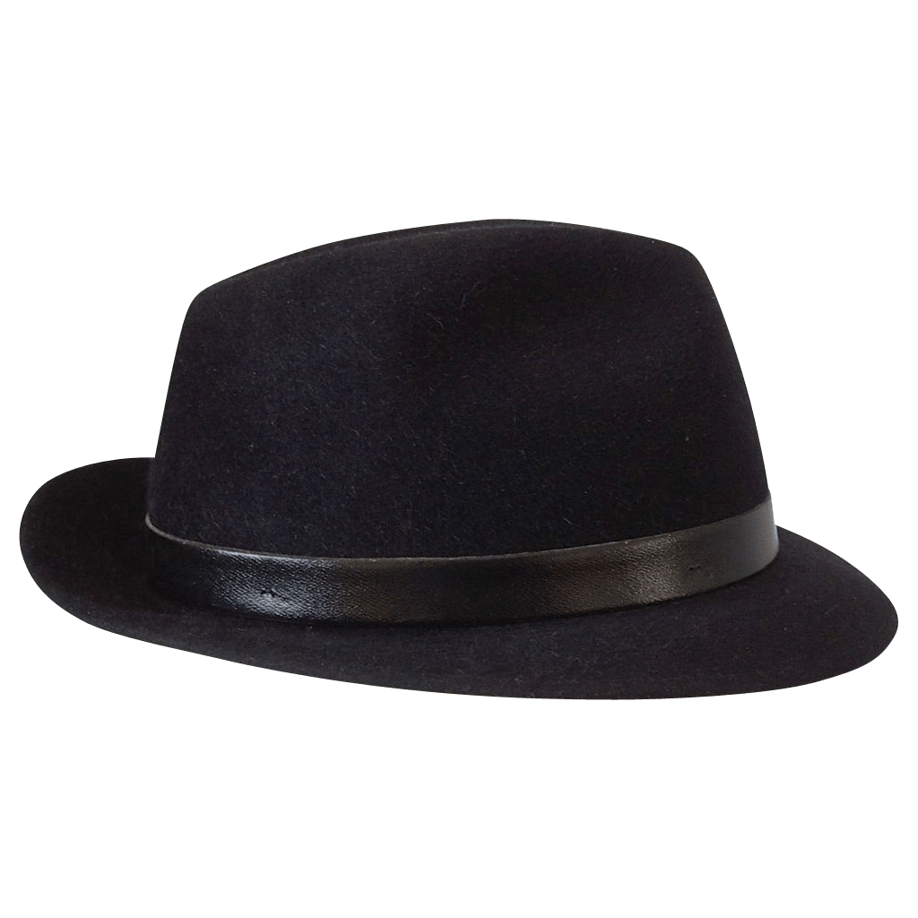 Free Fedora Cliparts, Download Free Fedora Cliparts png images, Free