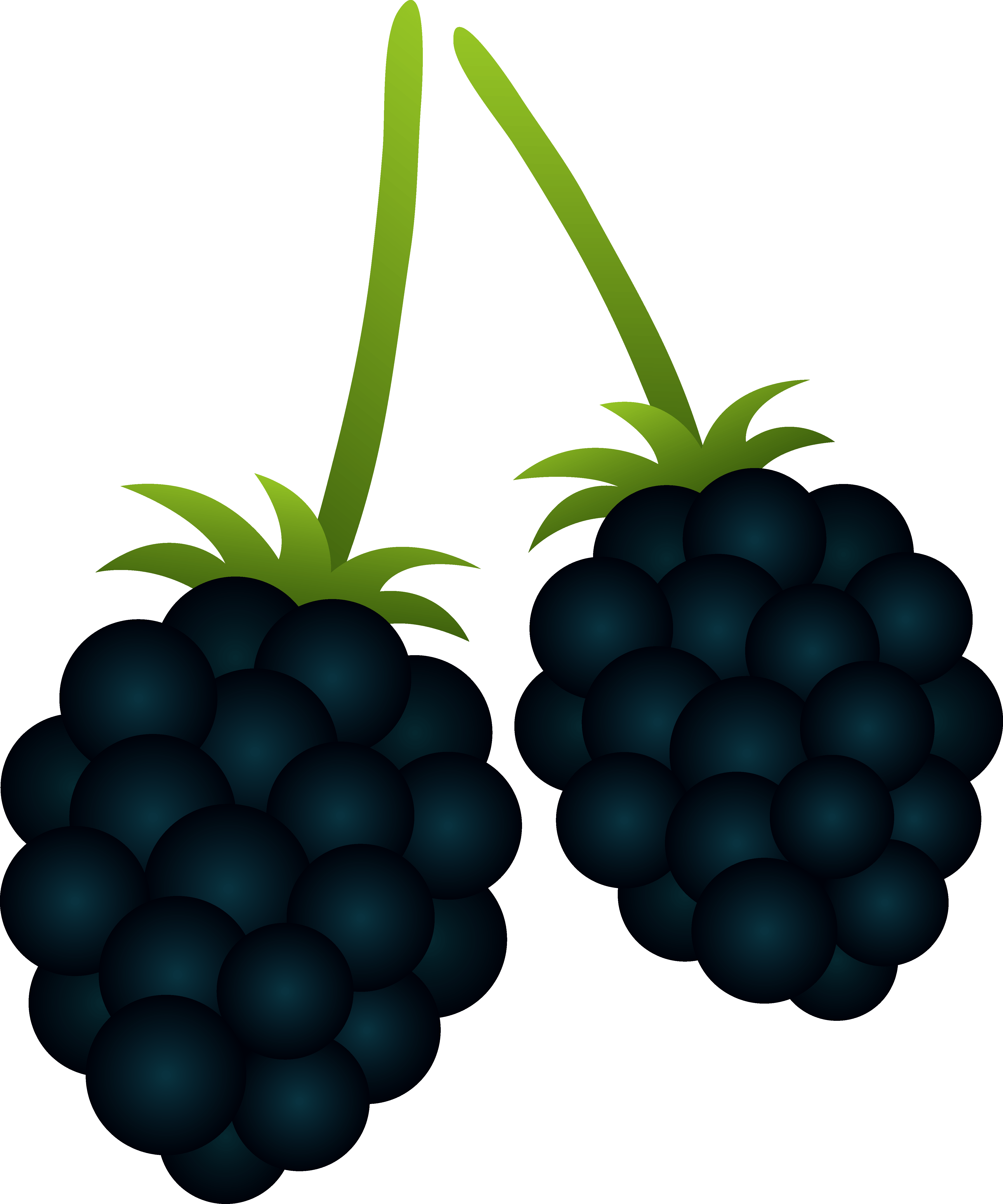 Blackberry Clipart Free Download Clip Art Free Clip Art on