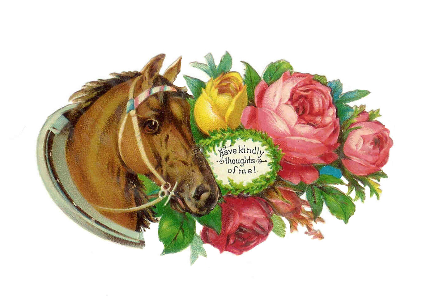 Free Adriane Cliparts, Download Free Adriane Cliparts png images, Free