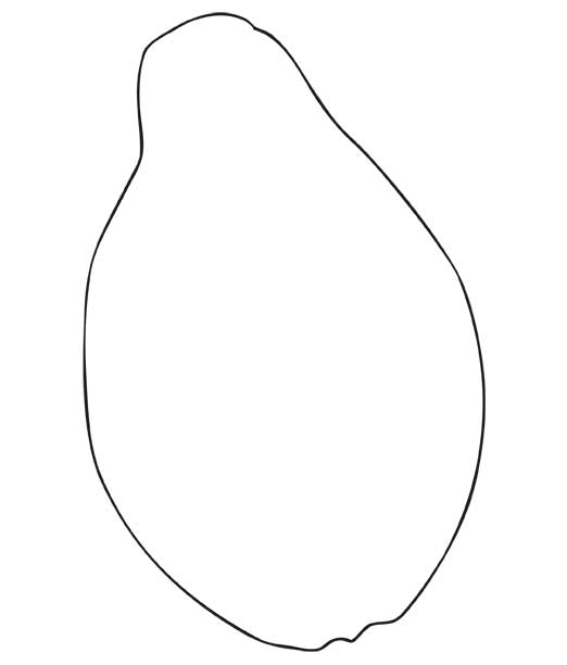 Free Pawpaw Cliparts, Download Free Pawpaw Cliparts png images, Free