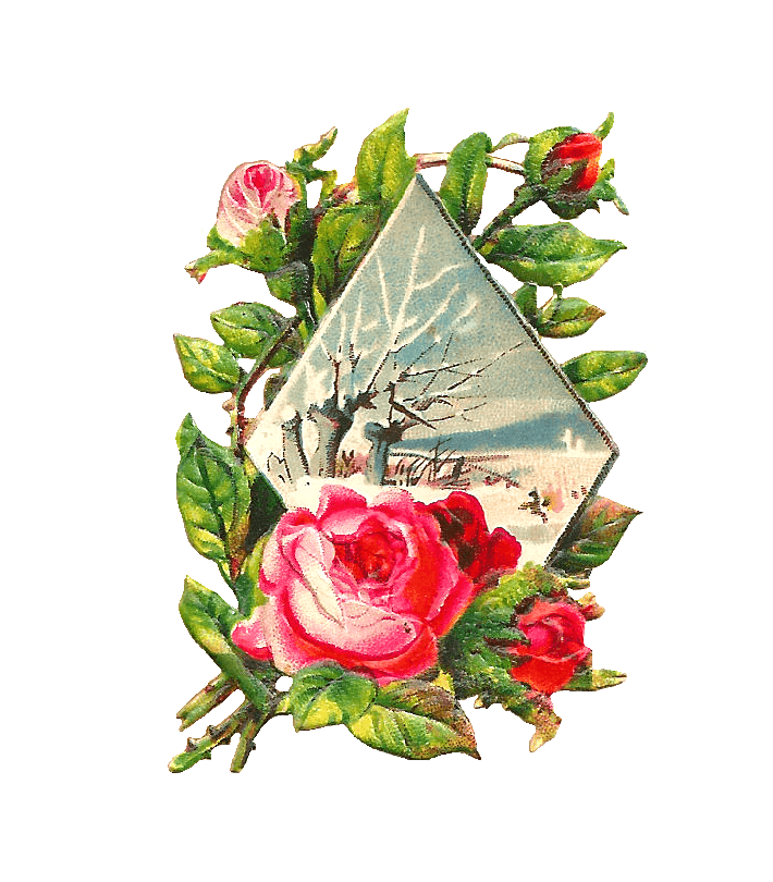 Free Winter Flowers Cliparts, Download Free Winter Flowers Cliparts png