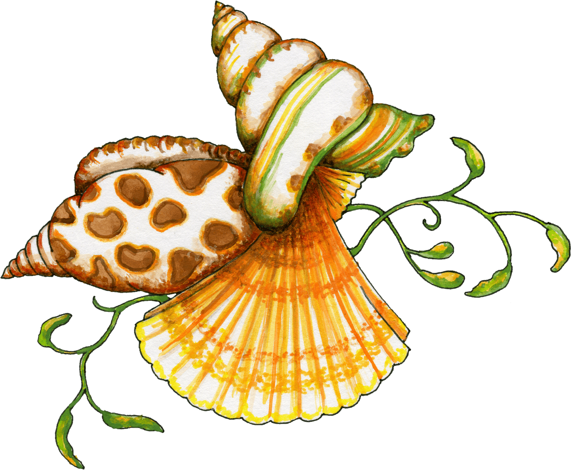 Free Beach Shell Cliparts, Download Free Beach Shell Cliparts png