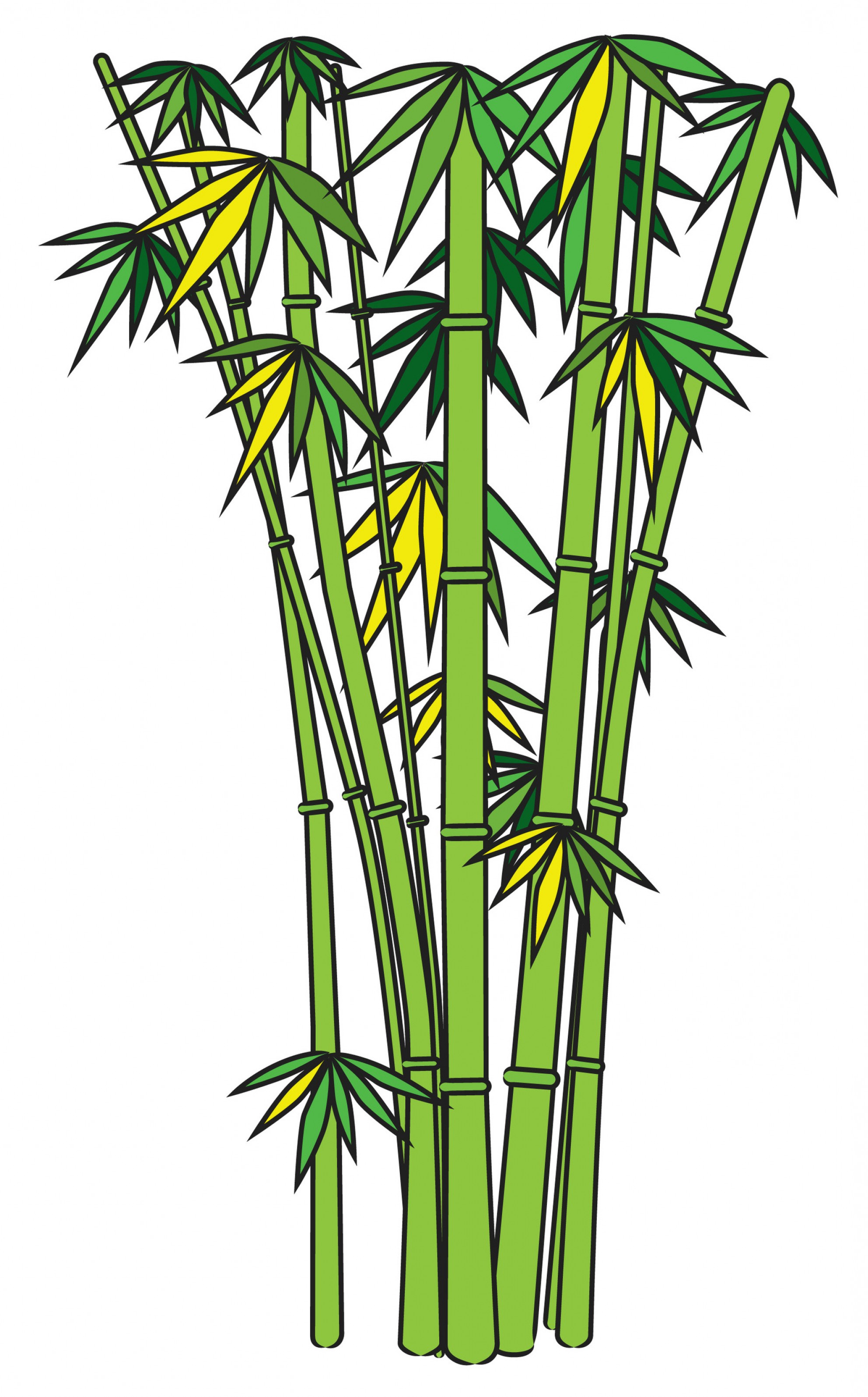 clip art of bamboo tree Clip Art Library