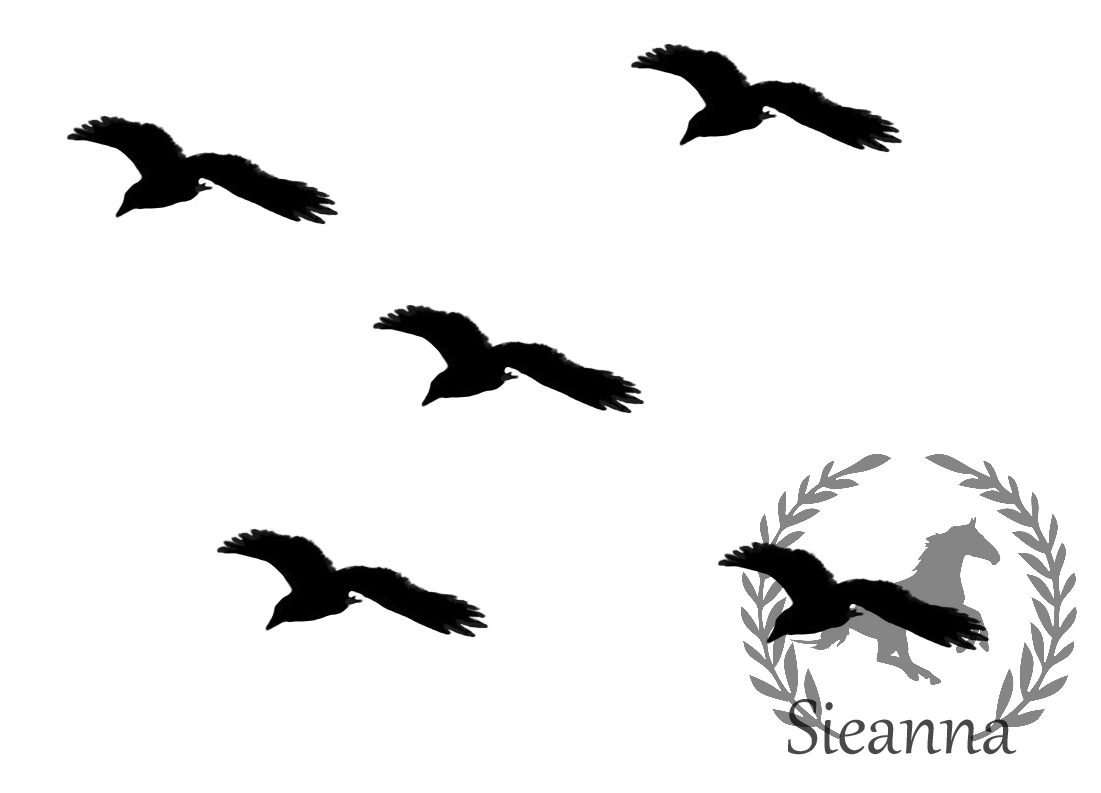 Free Bird Black Cliparts, Download Free Bird Black Cliparts png images