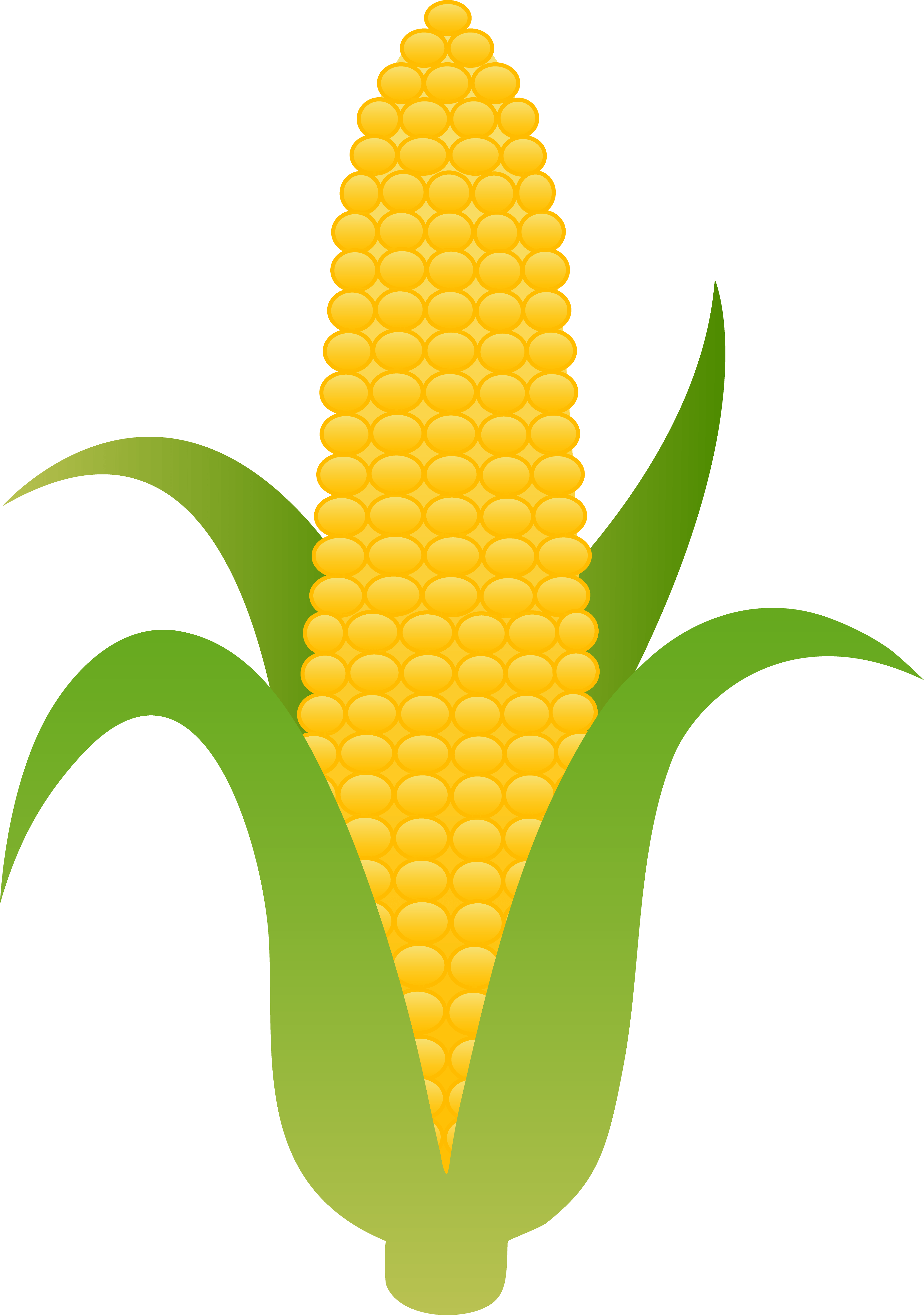 corn on the cob clipart Clip Art Library