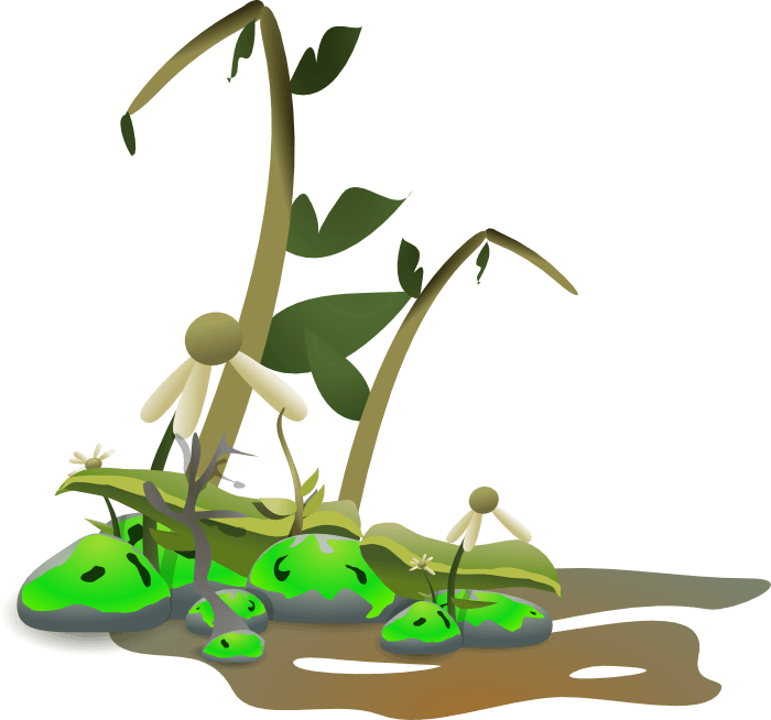 dead plant clipart png Clip Art Library