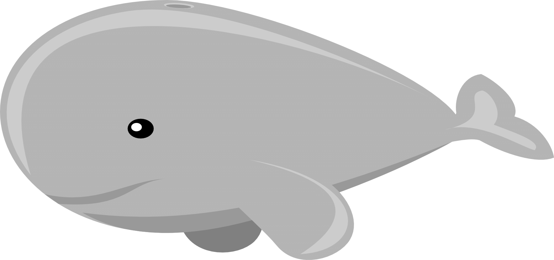 whale stormdesignz