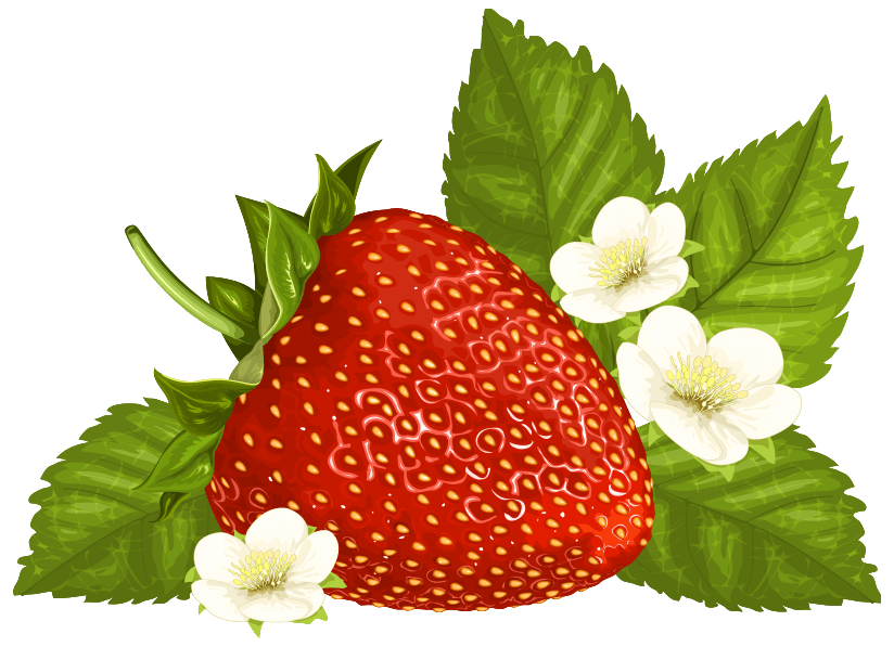 Free Strawberry Leaf Cliparts, Download Free Strawberry Leaf Cliparts