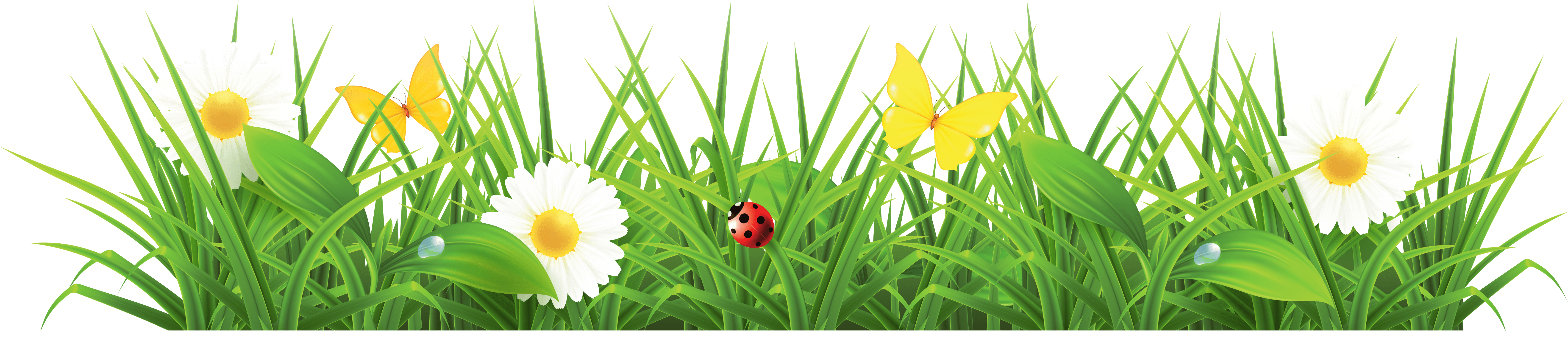 Free Spring Borders Cliparts, Download Free Spring Borders Cliparts png