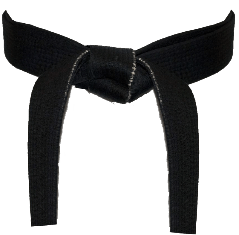 Free Taekwondo Belt Cliparts, Download Free Taekwondo Belt Cliparts png