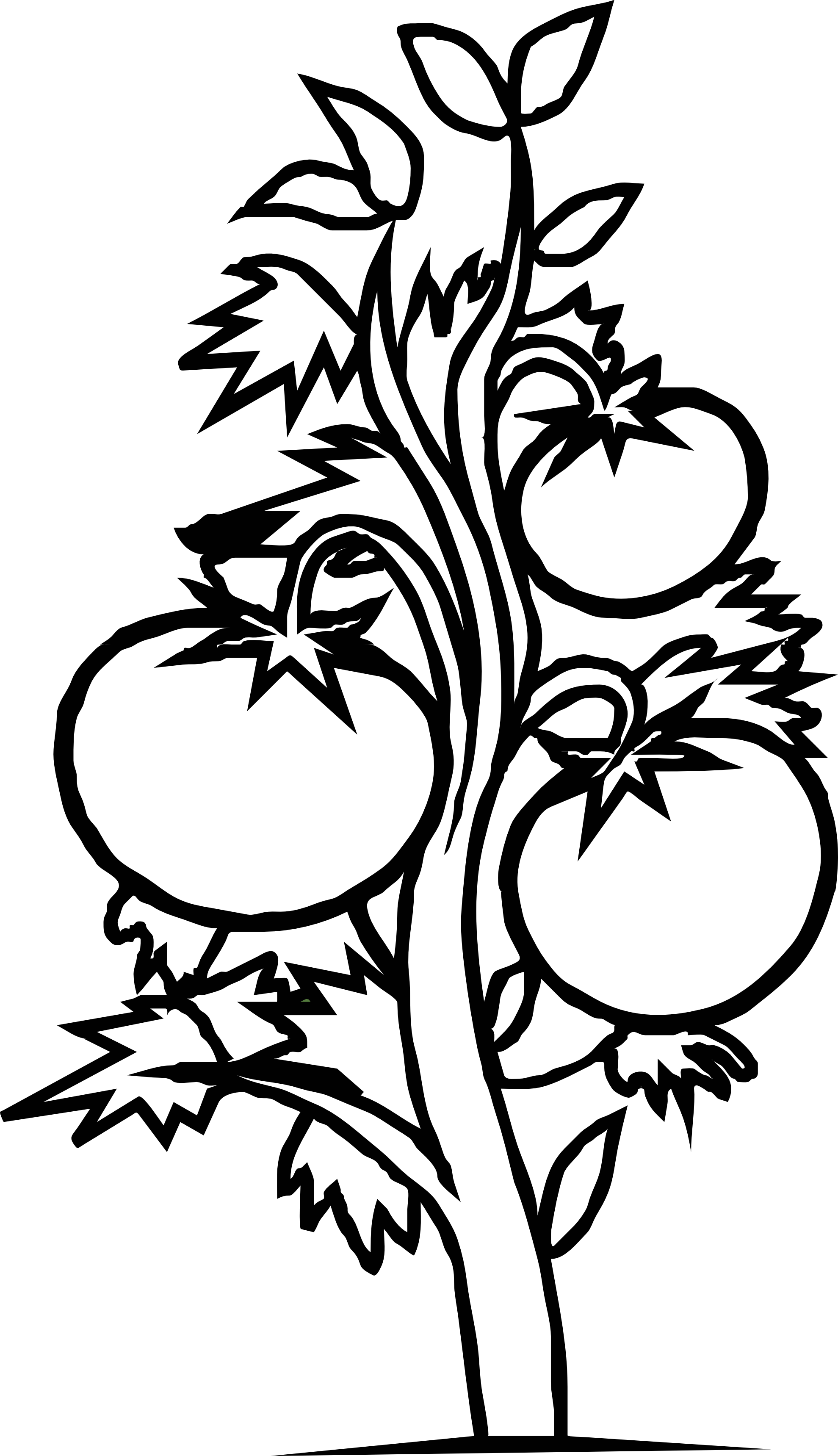Free Tomato Vine Cliparts, Download Free Tomato Vine Cliparts png