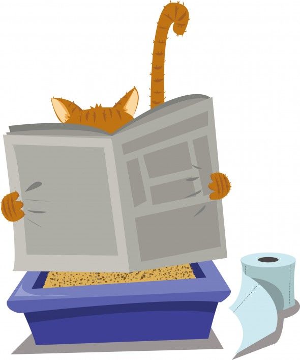 free clip art litter box Clip Art Library