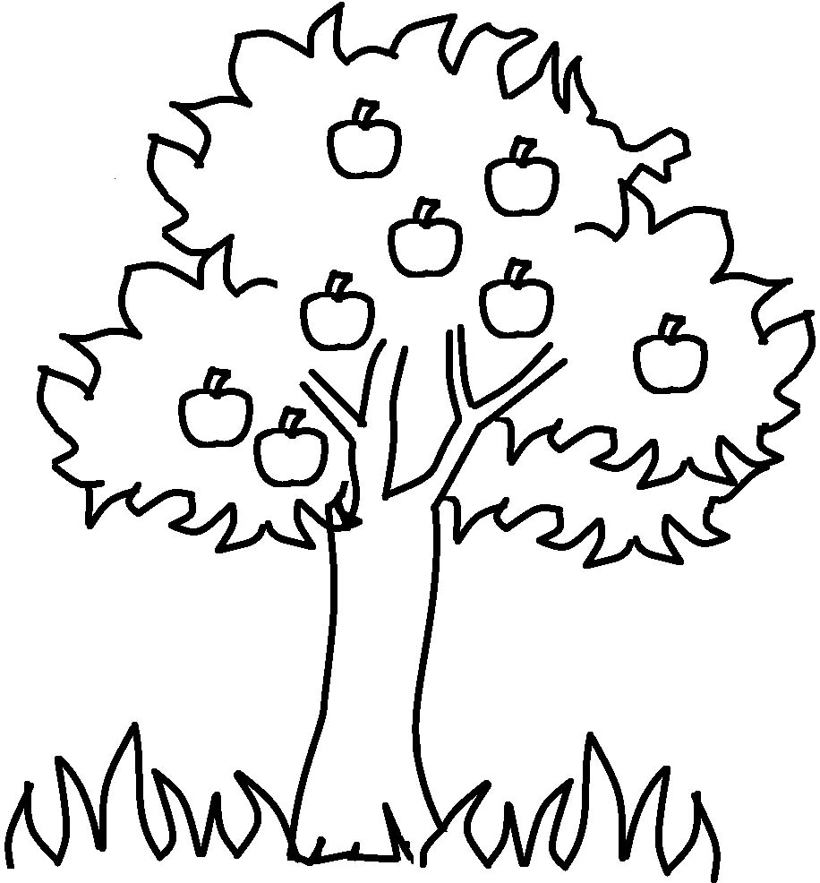 Tree Drawing Cliparts Adding Creativity and Style to Your Tree