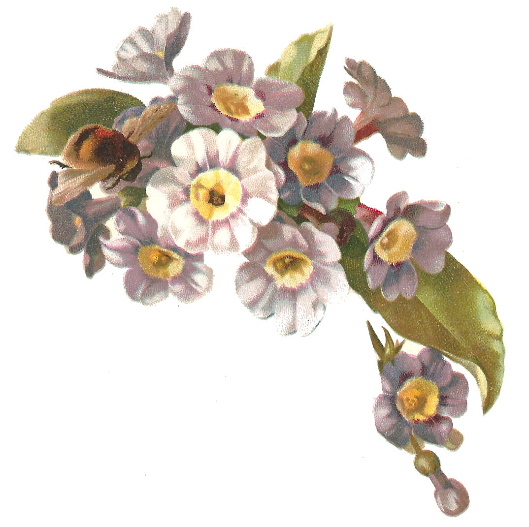 Free Victorian Flowers Cliparts, Download Free Victorian Flowers
