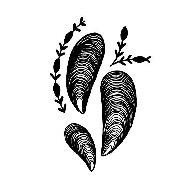 Free Mussel Cliparts, Download Free Mussel Cliparts png images, Free