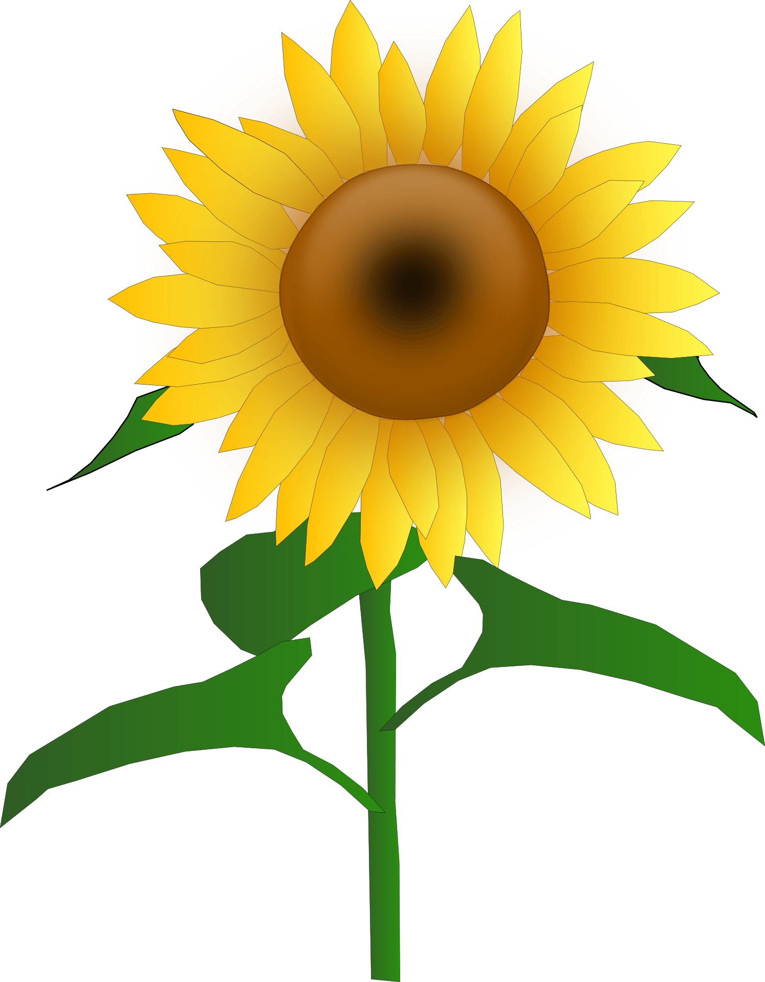 sun flower clipart Clip Art Library