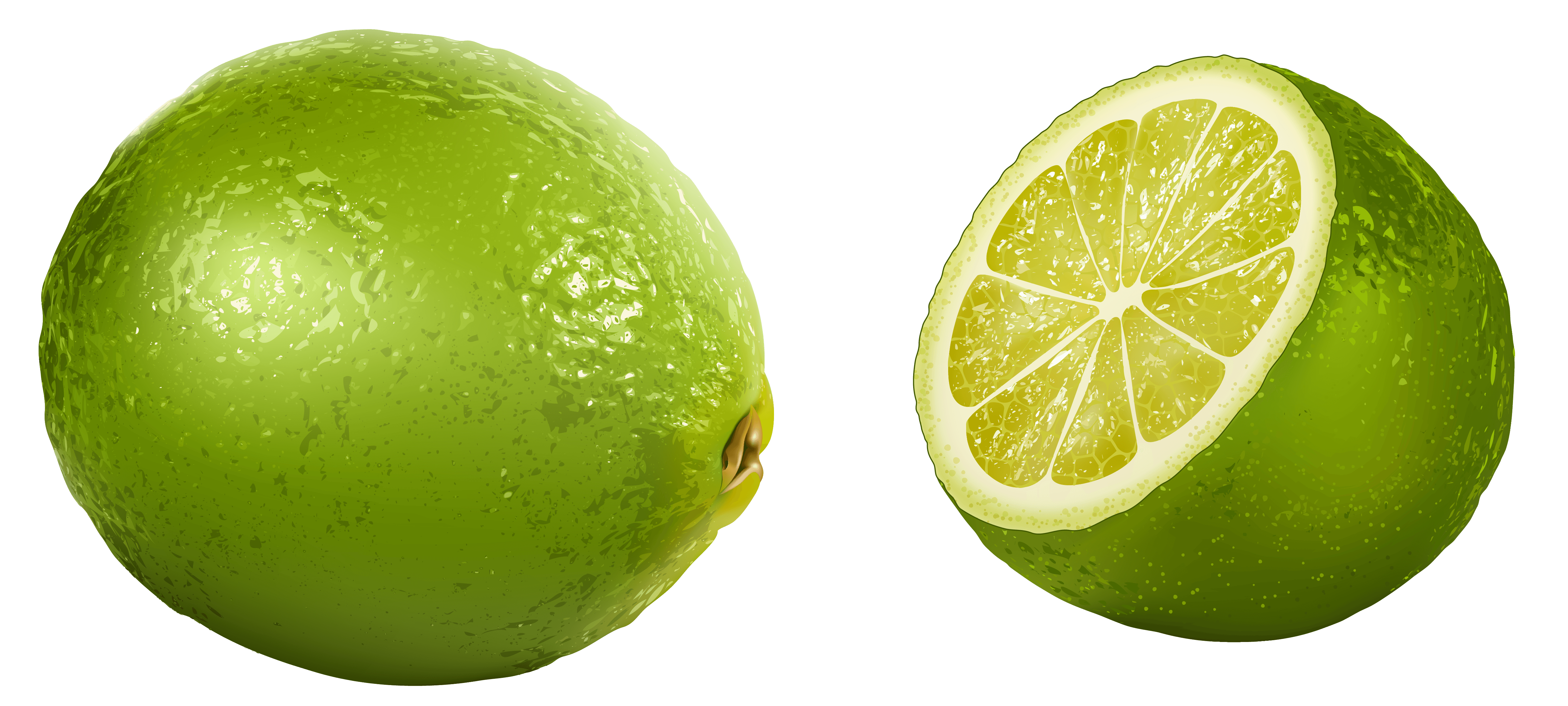 lime clipart Clip Art Library