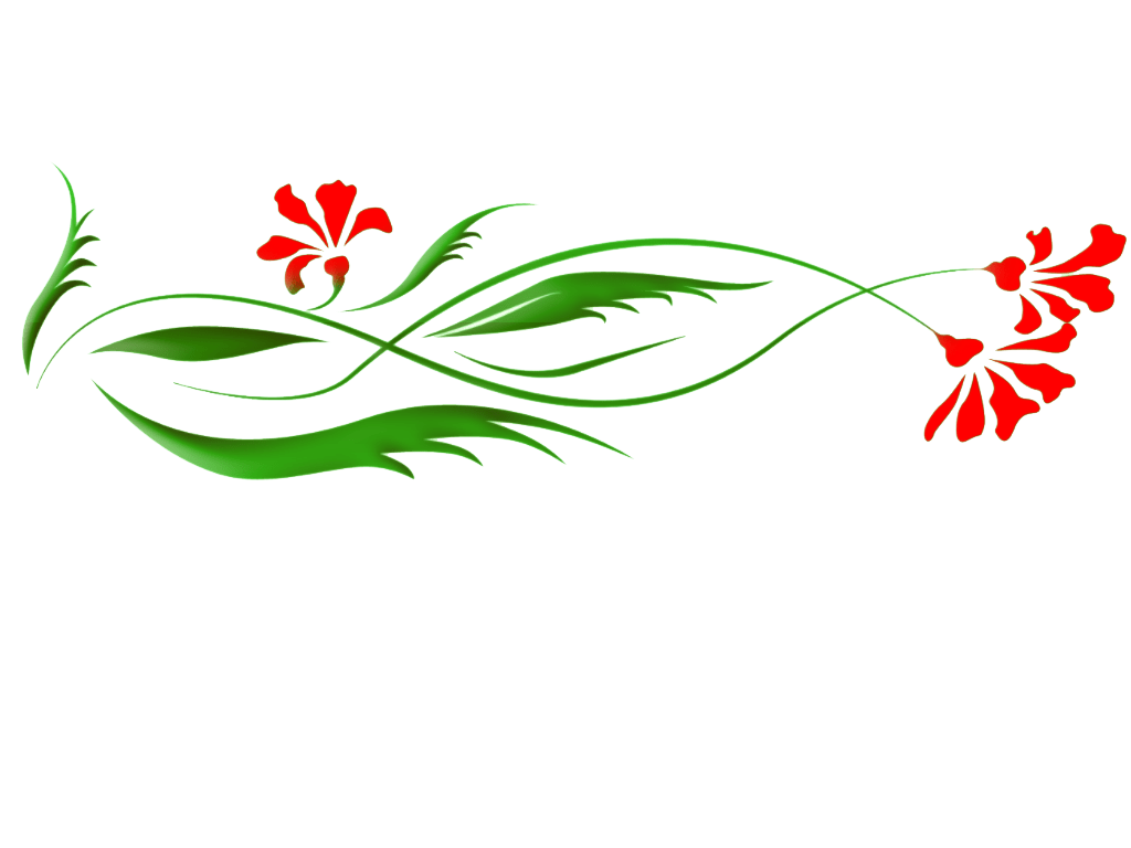 Free Floral PNG Transparent Images, Download Free Floral PNG