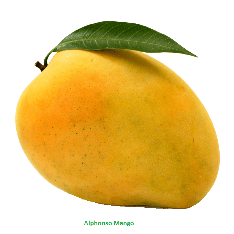 Free Mango Transparent, Download Free Mango Transparent png images