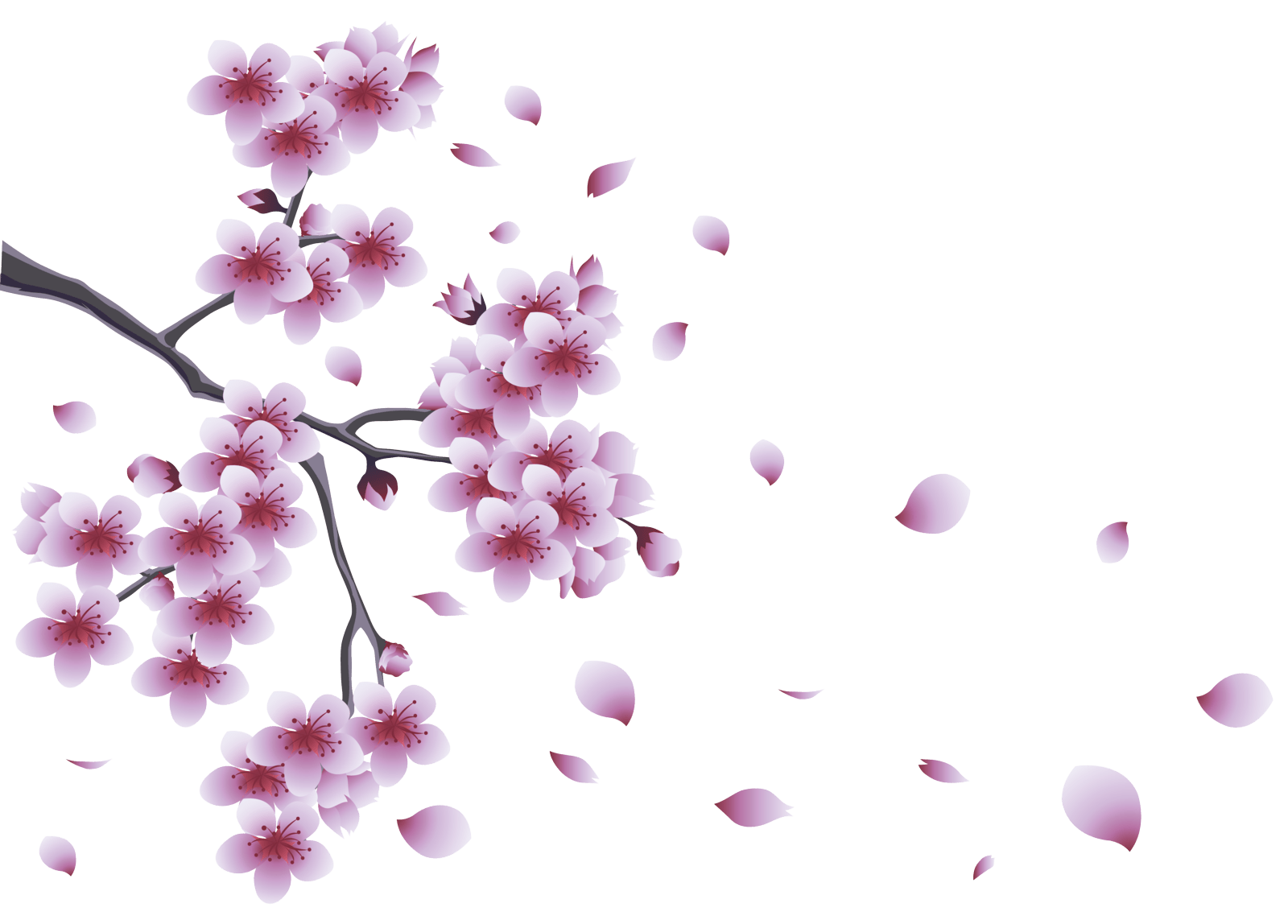 Free Spring PNG Transparent Images, Download Free Spring PNG