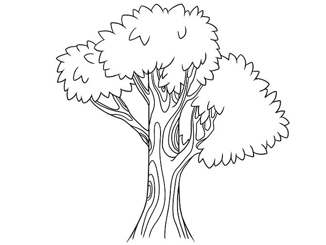 Free Simple Tree Drawings, Download Free Simple Tree Drawings png