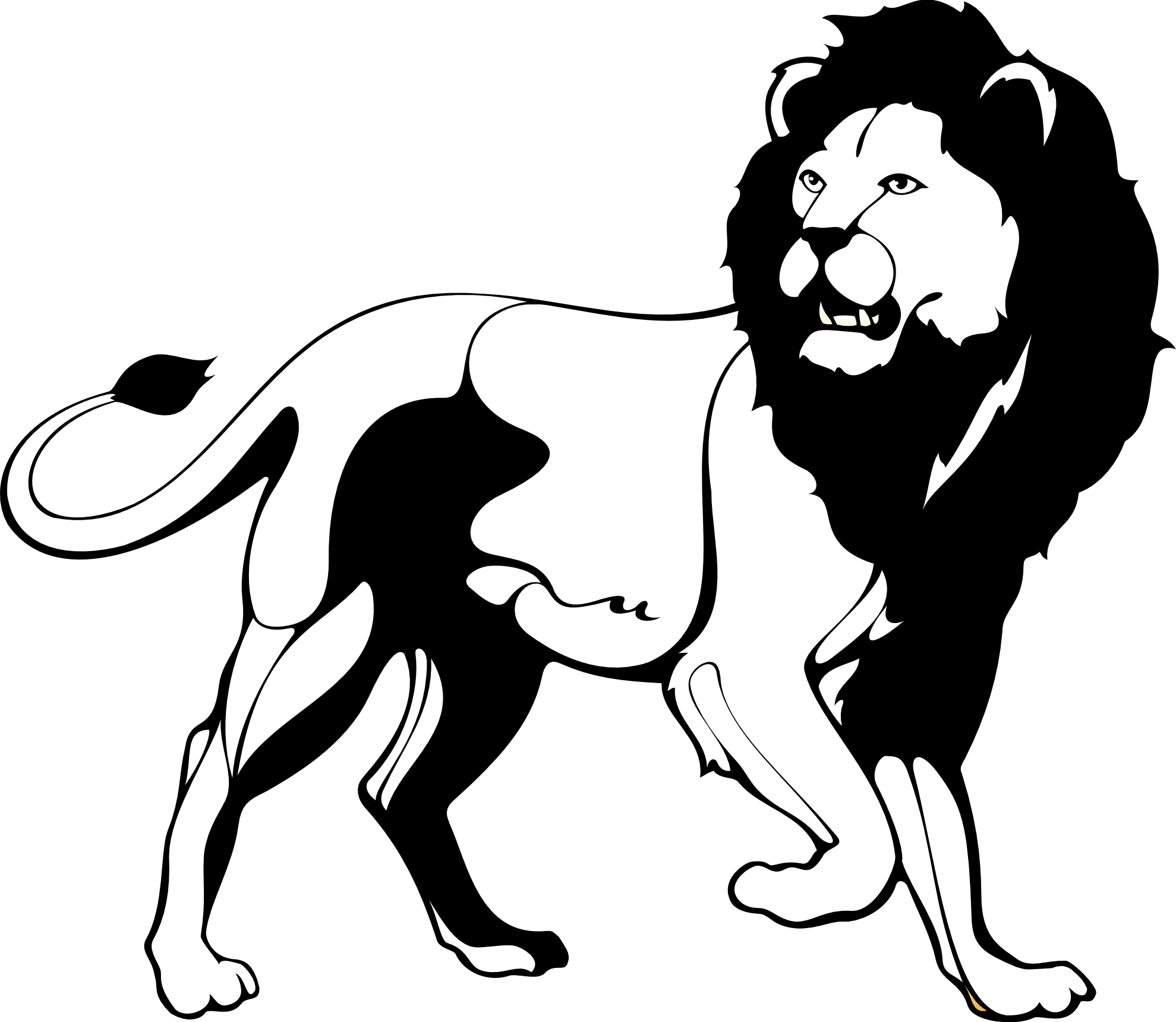 Free Lion Line Drawing, Download Free Lion Line Drawing png images