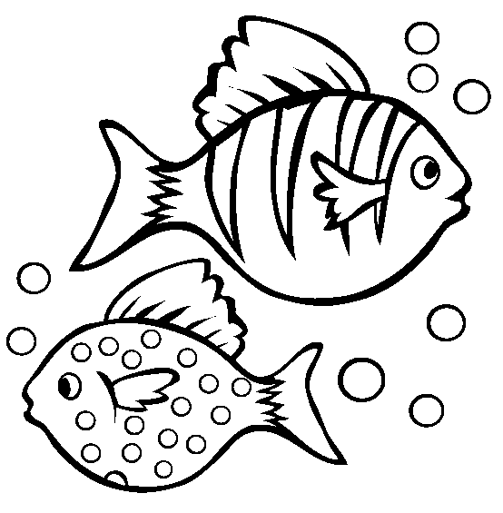 Free Fish Outline Template, Download Free Fish Outline Template png