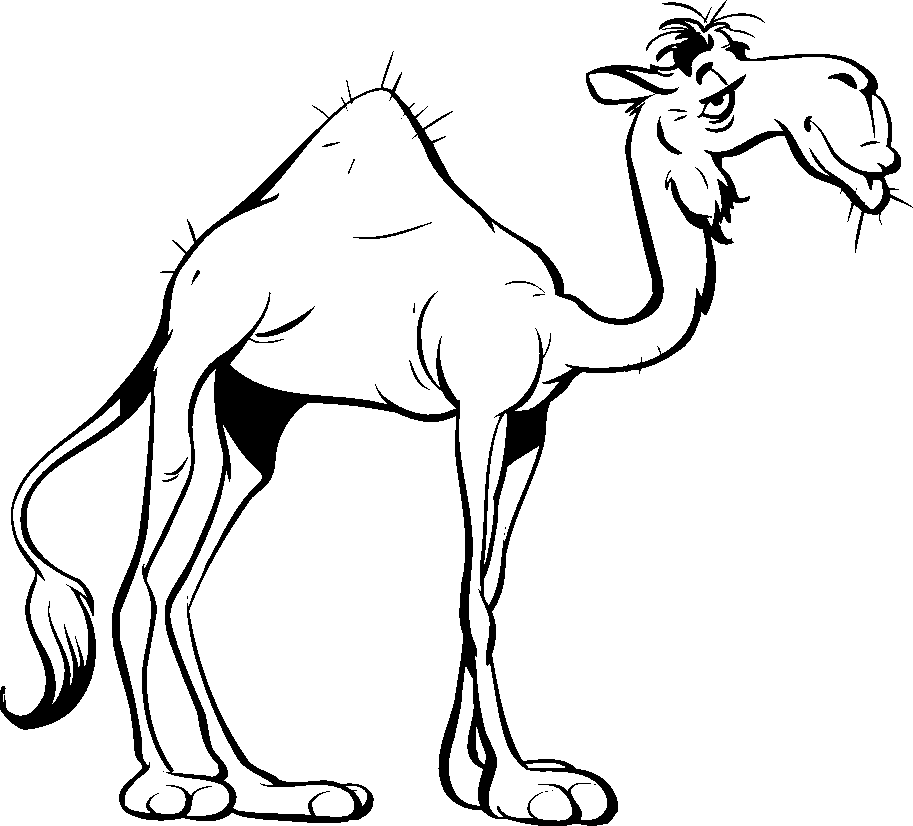 Free Camel Cartoon Pictures, Download Free Camel Cartoon Pictures png images, Free ClipArts on