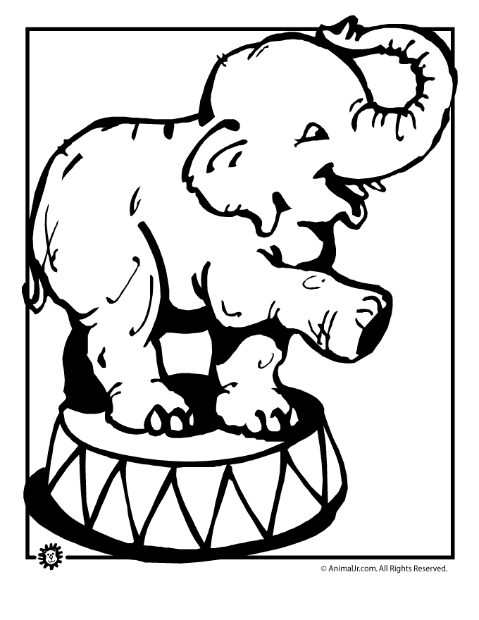 Free Black And White Elephants, Download Free Black And White Elephants png images, Free