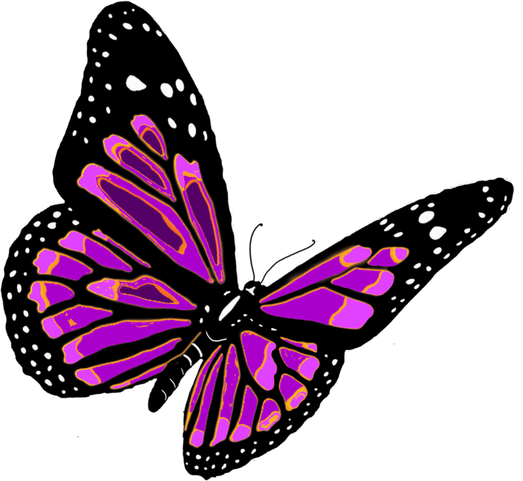 Free Butterfly, Download Free Butterfly png images, Free ClipArts on