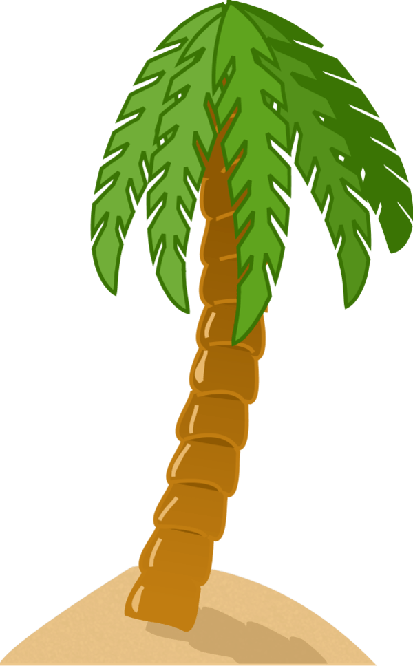 Free Palm Tree Photo, Download Free Palm Tree Photo png images, Free ClipArts on Clipart Library