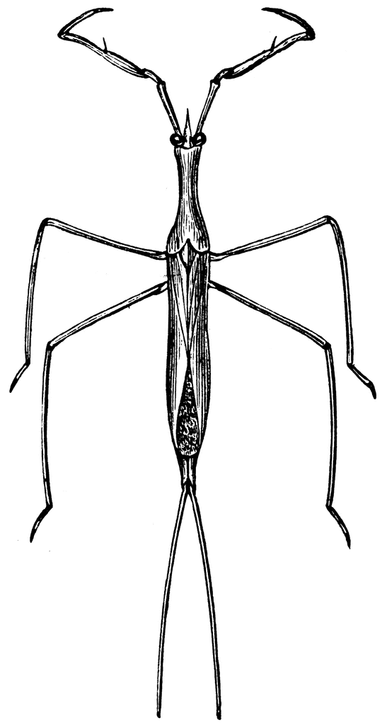 Free Picture Of Needle, Download Free Picture Of Needle png images