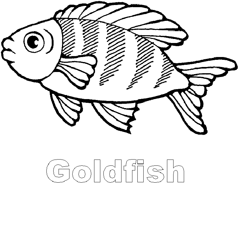 Goldfish Black And White Clipart
