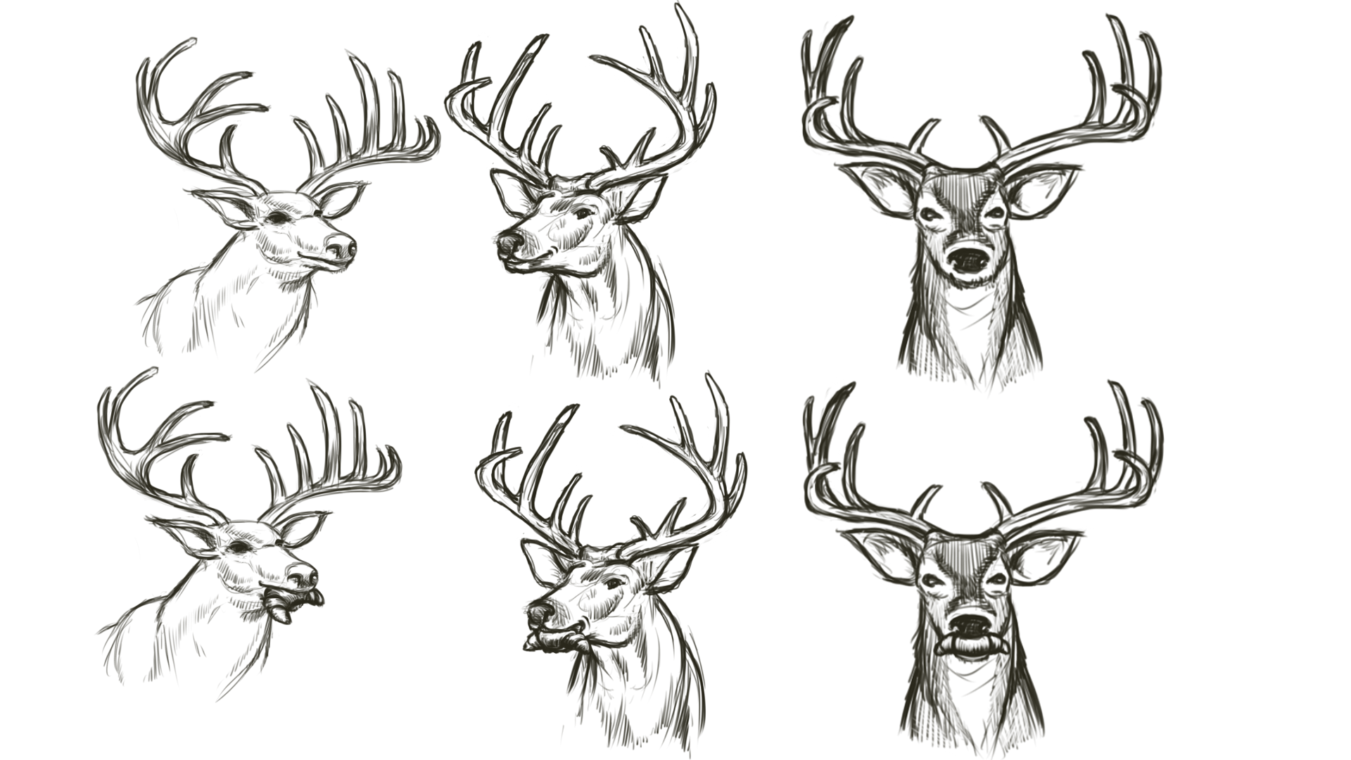 Free Deer Logo, Download Free Deer Logo png images, Free